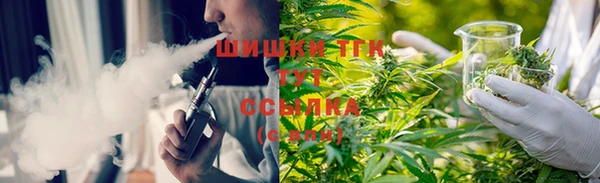 твердый Богородицк