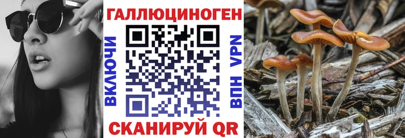 Псилоцибиновые грибы мицелий  Южно-Сухокумск 