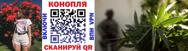 Бошки марихуана семена  Южно-Сухокумск 